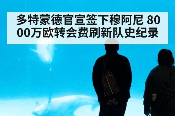 多特蒙德官宣签下穆阿尼 8000万欧转会费刷新队史纪录