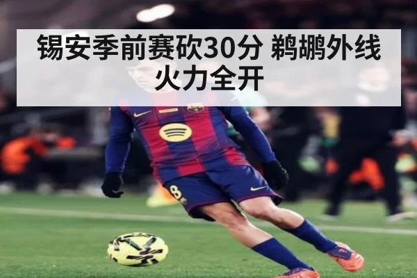 锡安季前赛砍30分 鹈鹕外线火力全开