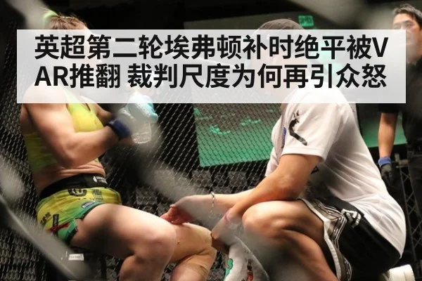 英超第二轮埃弗顿补时绝平被VAR推翻 裁判尺度为何再引众怒
